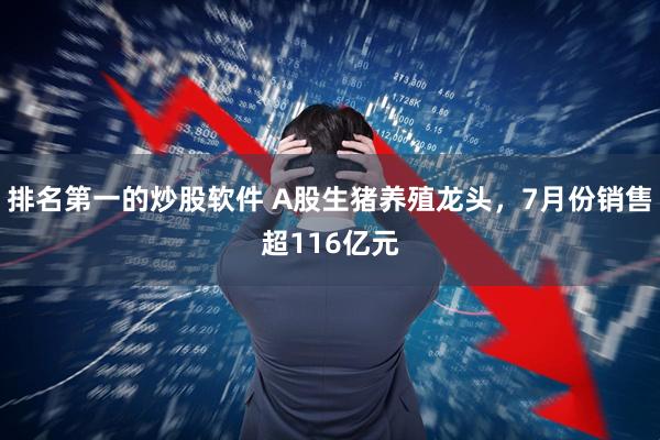 排名第一的炒股软件 A股生猪养殖龙头，7月份销售超116亿元
